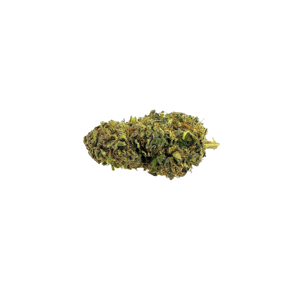 Gelato Hydro CBD <20%