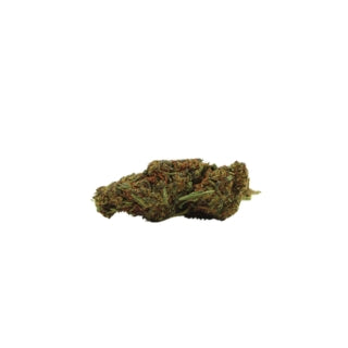 🌿 Mango Haze TNTx — Fleur Ultra Puissante🔥 ++++