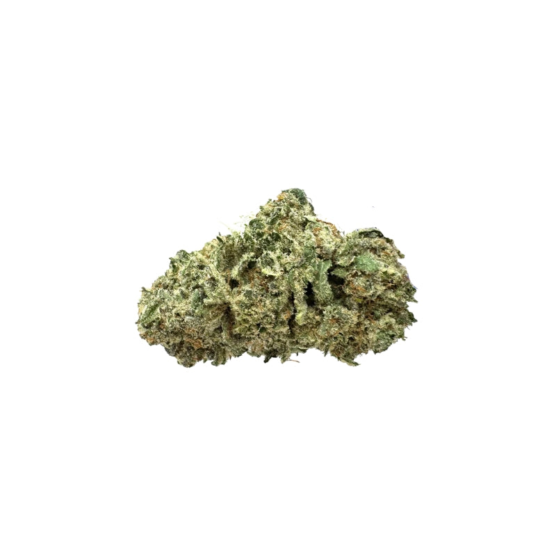 Payton HYDRO  Fleur de CBD < 20 %
